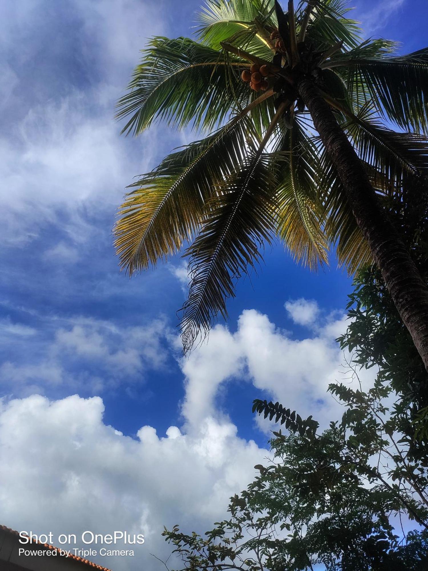 Hilton Garden Homestay Port Blair Luaran gambar